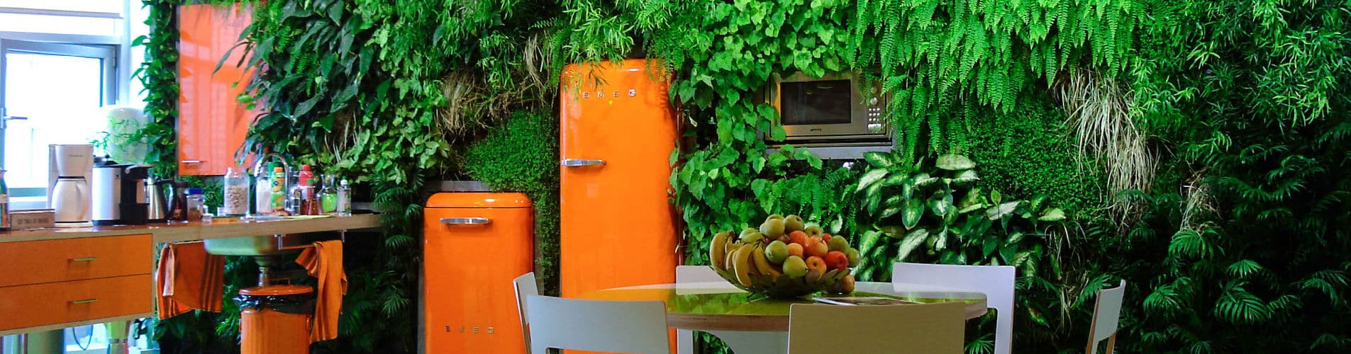 mur végétal intérieur pour une cuisine