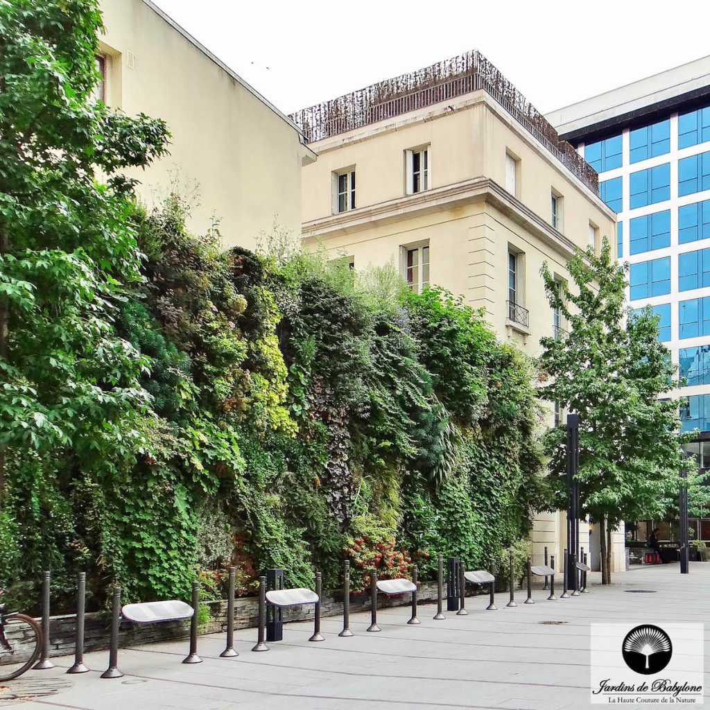 Mur végétalisé extérieur à Paris