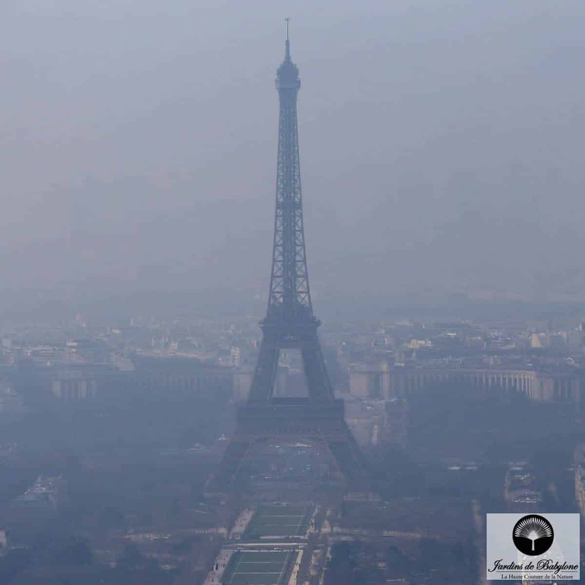 depolluer les villes par le vegetal