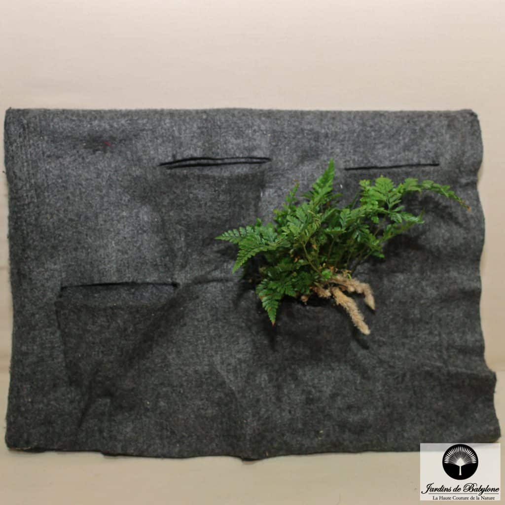 textile pour mur vegetal de Jardins de Babylone