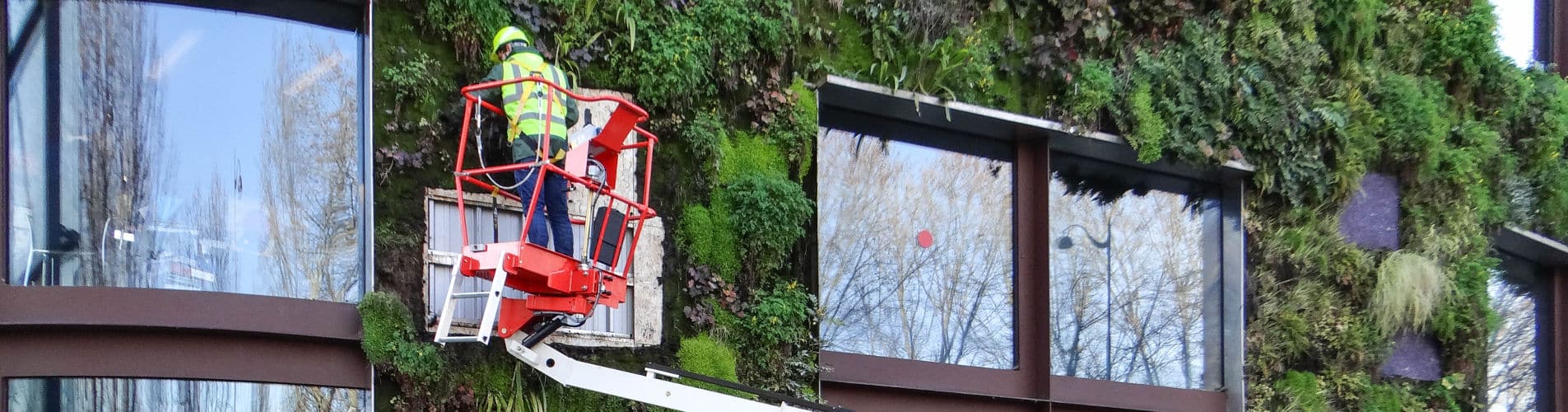 Entretien mur végétal sur le quai branly