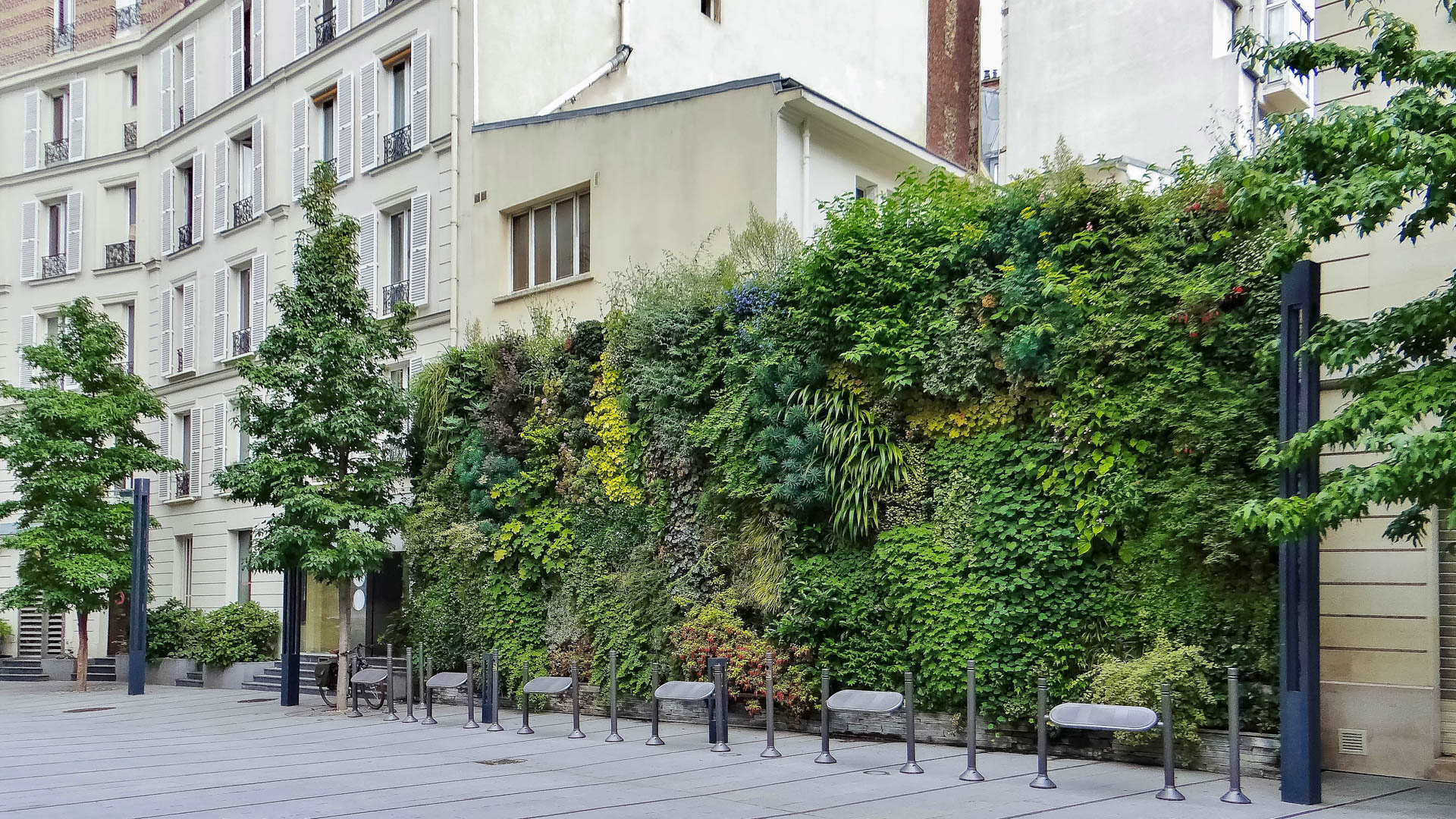 mur végétal extérieur pour EDF