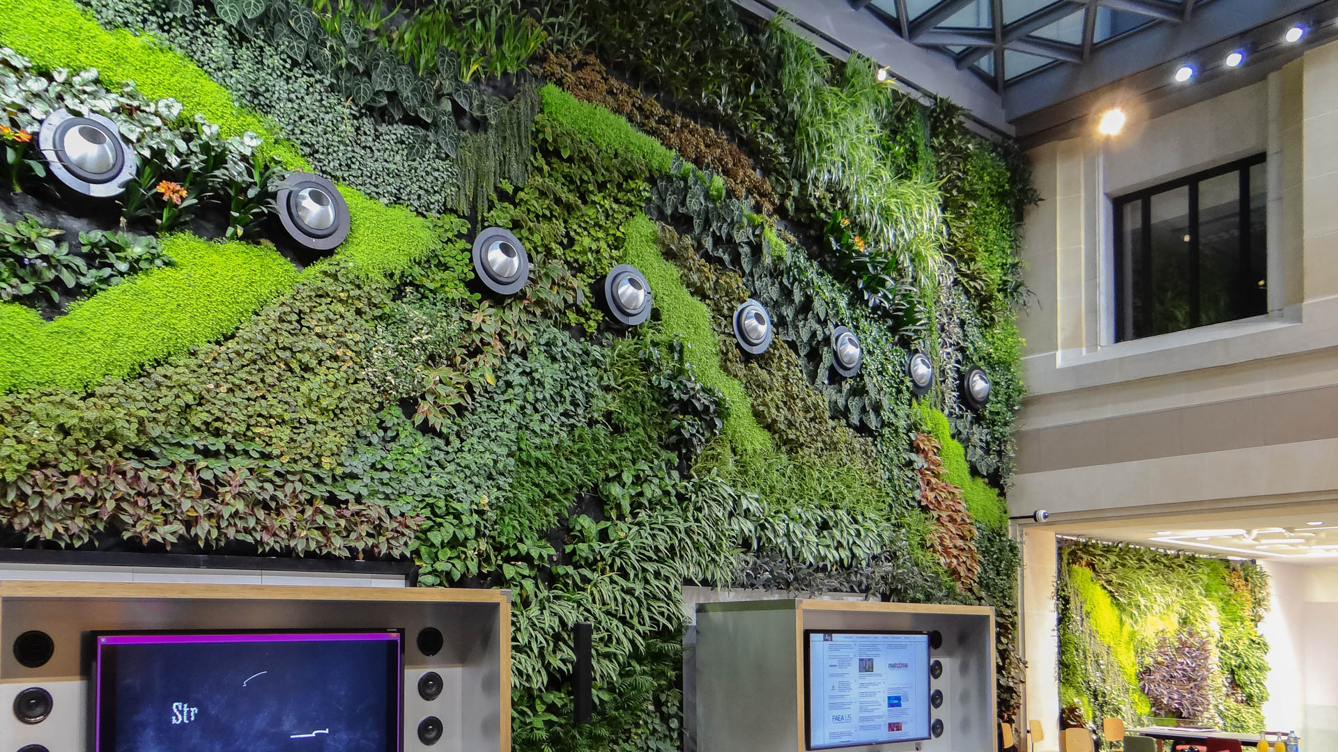 Mur végétal d'intérieur : un jardin au cœur de votre maison