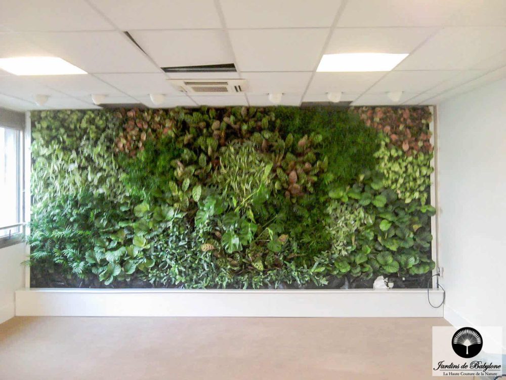 façade végétale de plantes tropicales