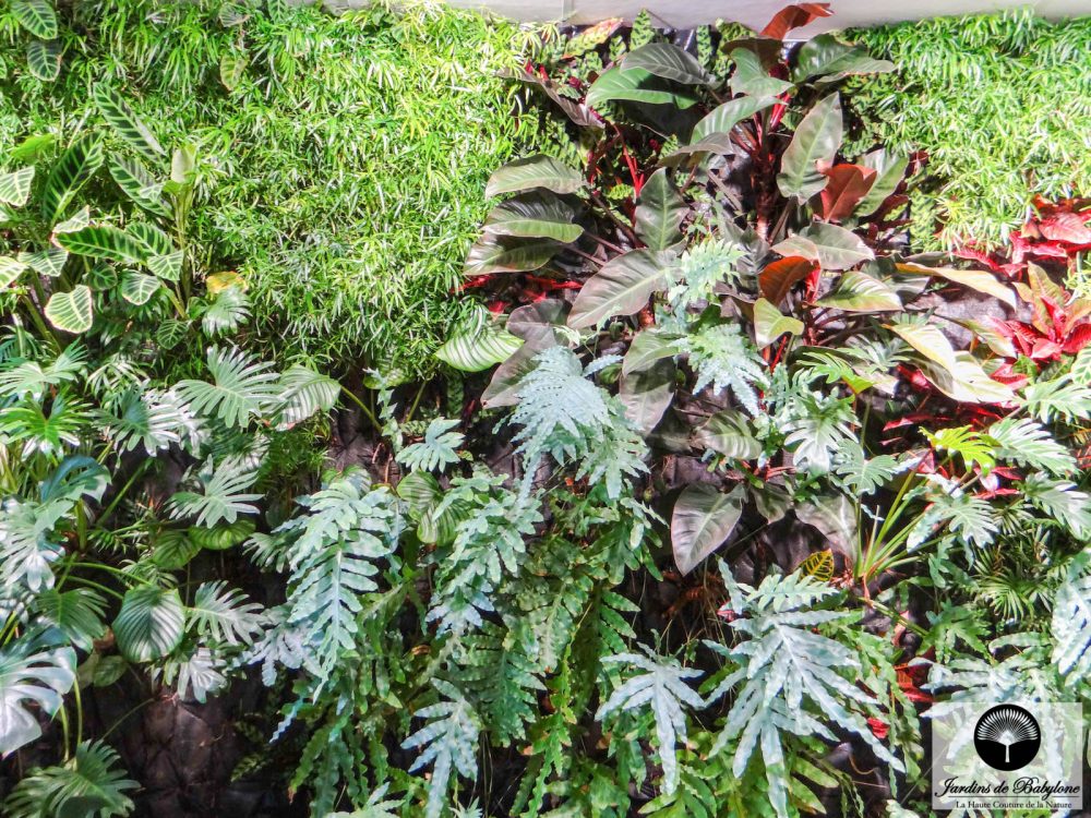 détail d'un jardin vertical