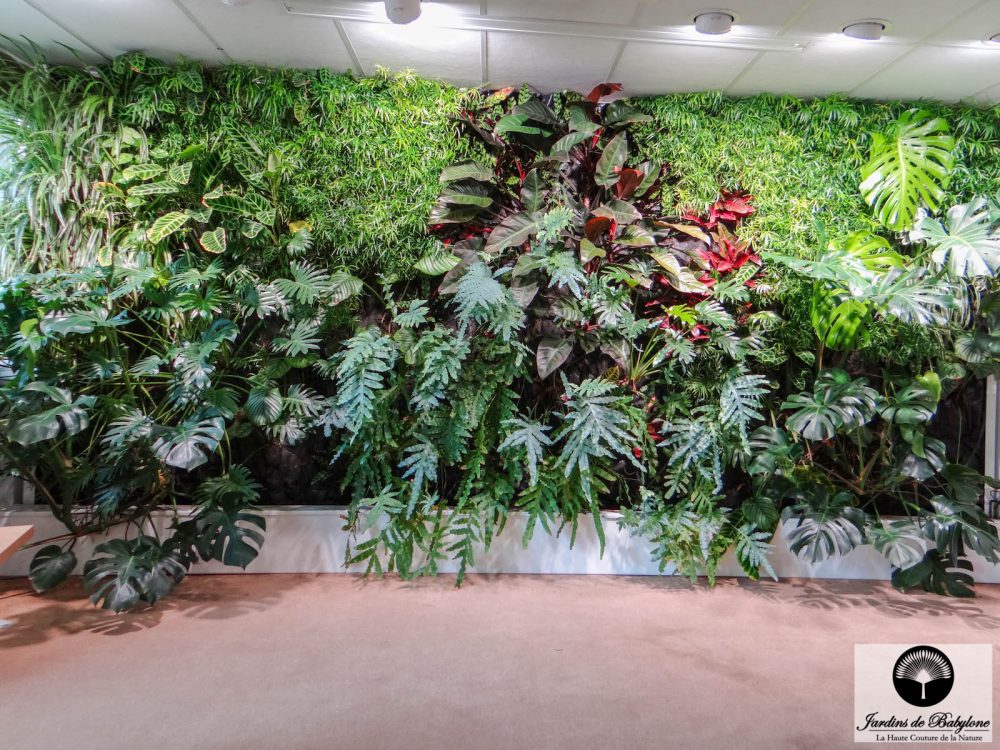 exemple de murs végétalisés tropicaux