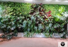 exemple de murs végétalisés tropicaux