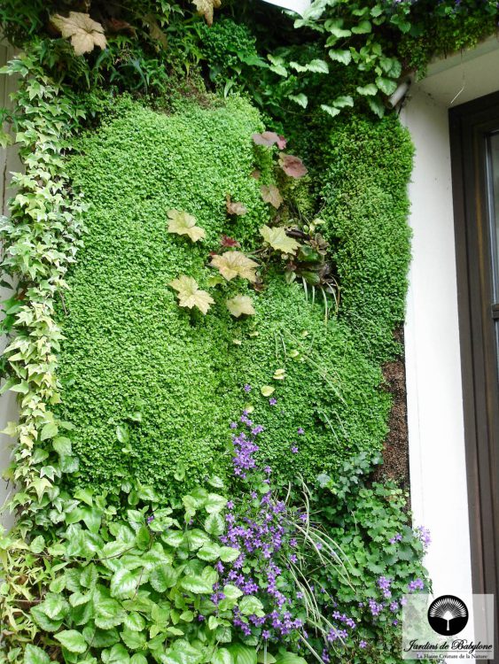 jardin vertical gilison paris