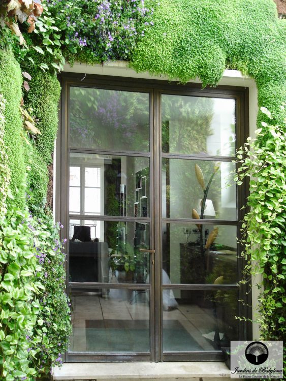 façade végétalisation gilison paris