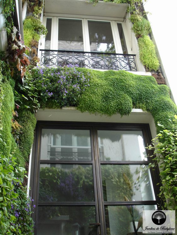 façade végétalisée paris
