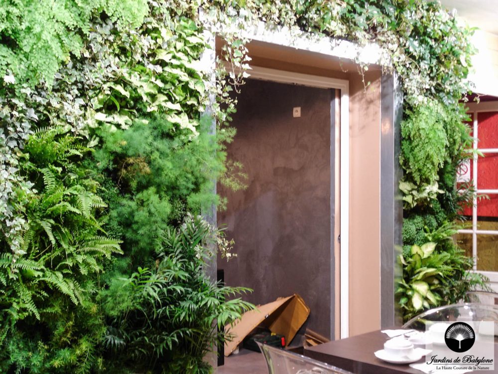 encadrement de porte, mur végétal paris