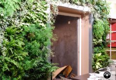 encadrement de porte, mur végétal paris
