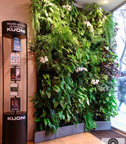 mur de plante kuoni