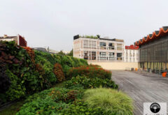 piscine municipale de Montrouge avec sa toiture végétalisée