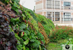 jardin vertical de la ville de montrouge