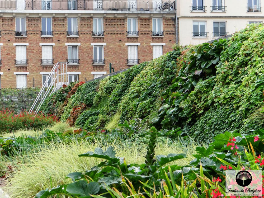 toiture végétalisée pour mairie de montrouge