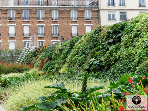 toiture végétalisée pour mairie de montrouge