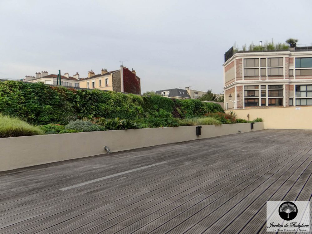 mur végétalisé sur la ville de montrouge