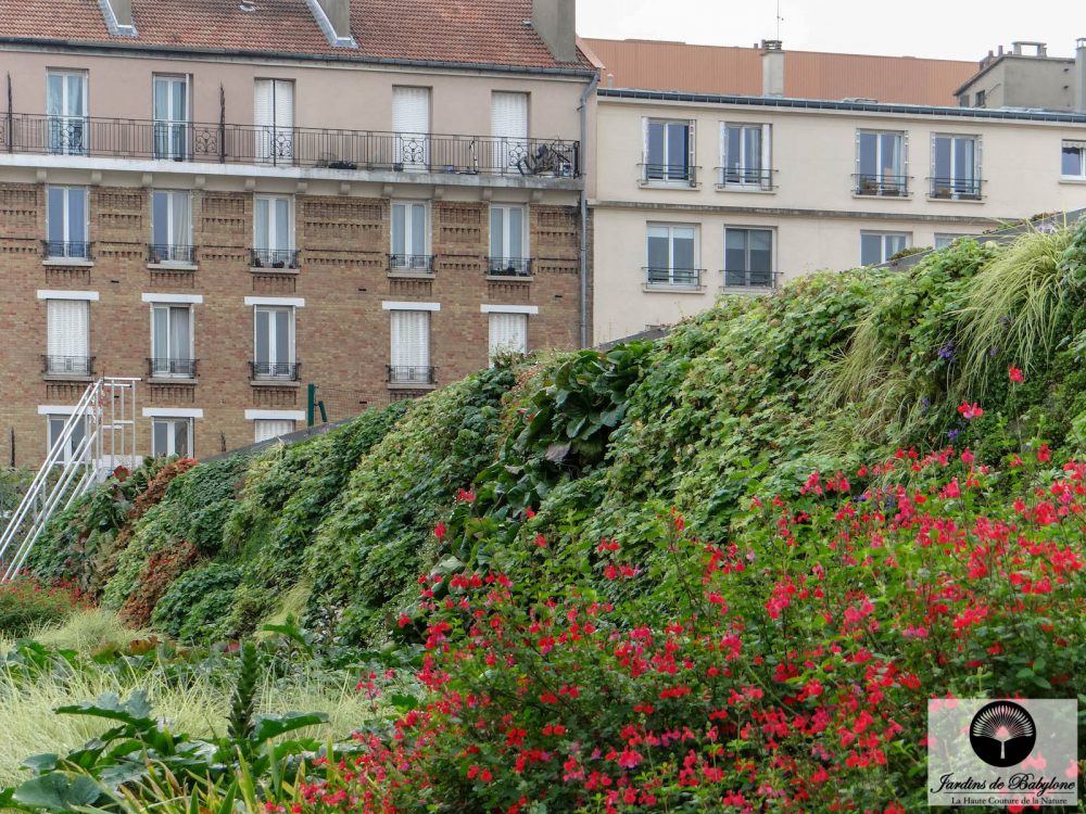 mur végétal sur la piscine municipale de montrouge