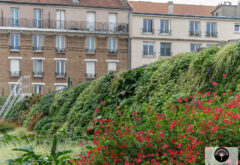 mur végétal sur la piscine municipale de montrouge