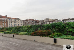 jardins verticaux à montrouge