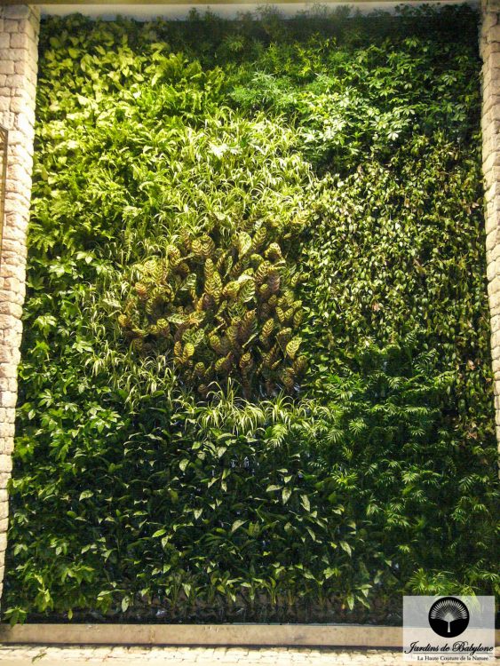 le jardin d'intérieur du sofitel à essaouira