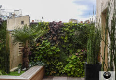 mur végétal réalisé par un paysagiste