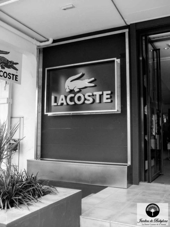 ossature metallique et bac d'un mur végétalisé