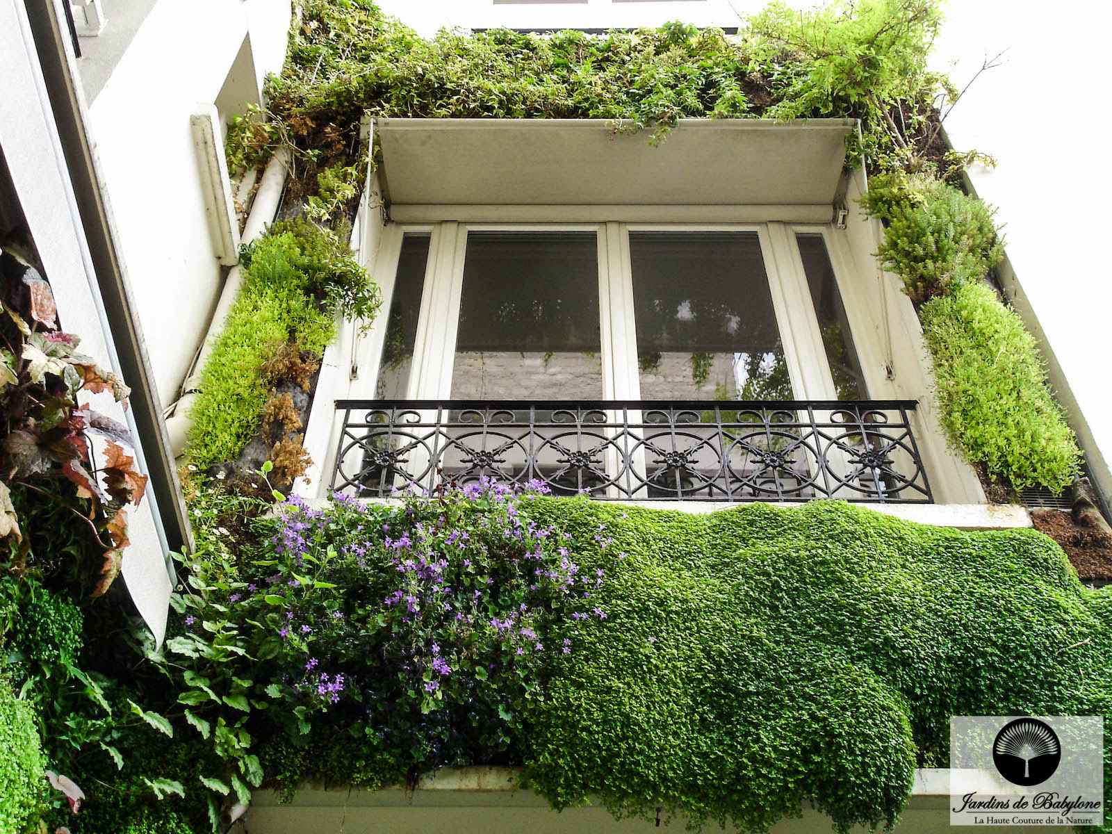 façade végétalisée d'un hôtel