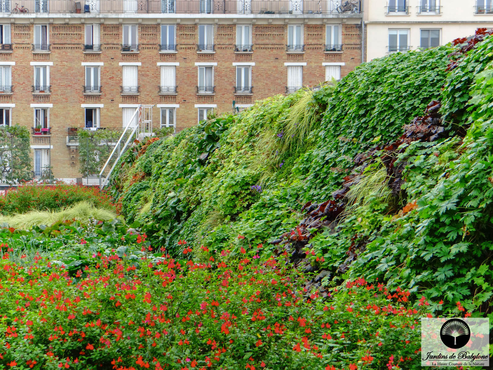 Jardins de Babylone amène de la biodiversité sur ses jardins verticaux