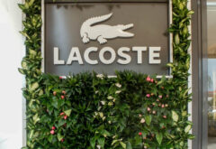 Lacoste Saint-Barthélemy murs végétalisés extérieurs