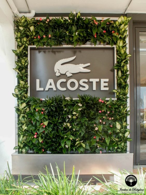 Lacoste Saint-Barthélemy murs végétalisés extérieurs