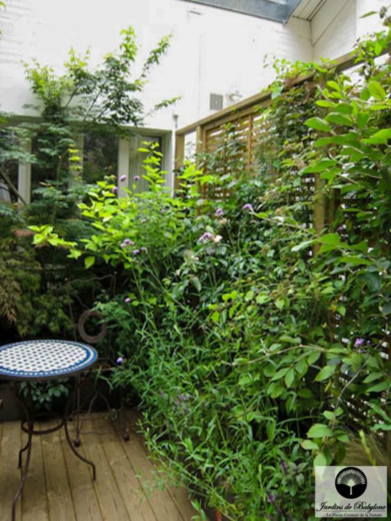 aménagement extérieur vue de plantes