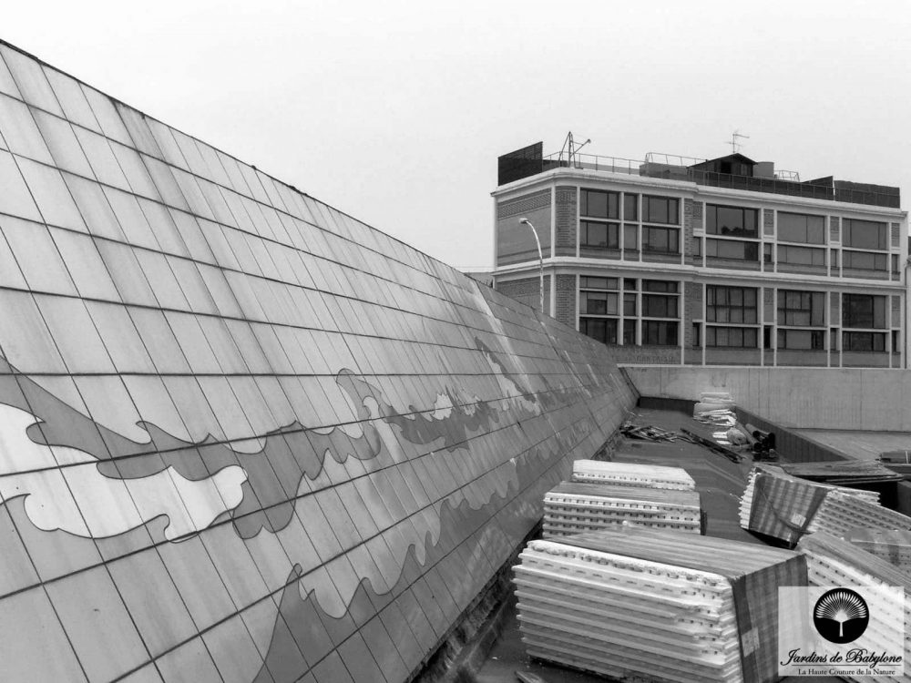 façade avant la pose d'un mur végétal