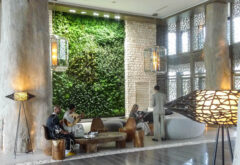 murs végétaux de l'hotel sofitel mogador au maroc