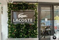 Murs végétalisés extérieurs pour lacoste à saint-barthélemy