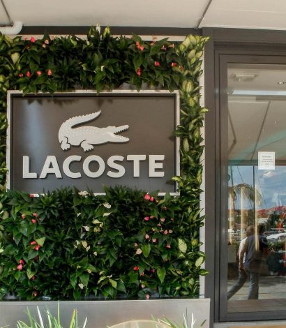 Murs végétalisés extérieurs pour lacoste à saint-barthélemy