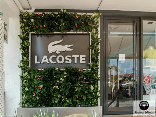 Murs végétalisés extérieurs pour lacoste à saint-barthélemy