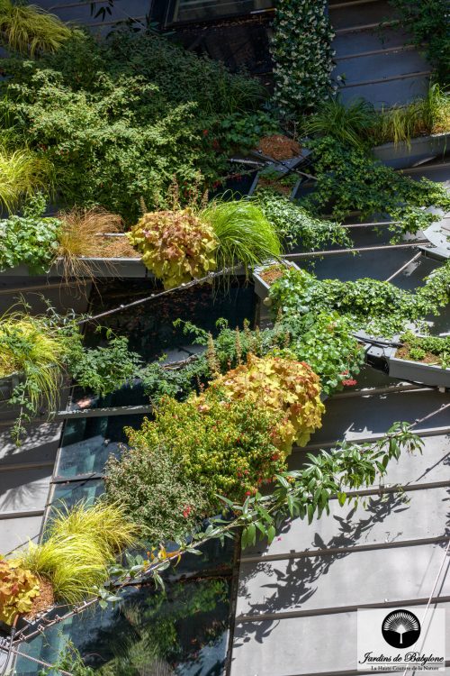 détails des jardins suspendus
