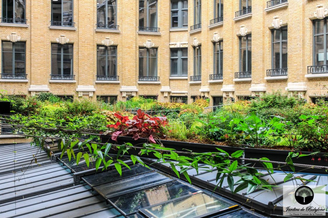 jardin en suspension entre 4 immeubles