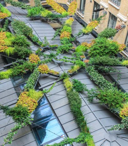 Jardins suspendu : victoire du paysage 2016