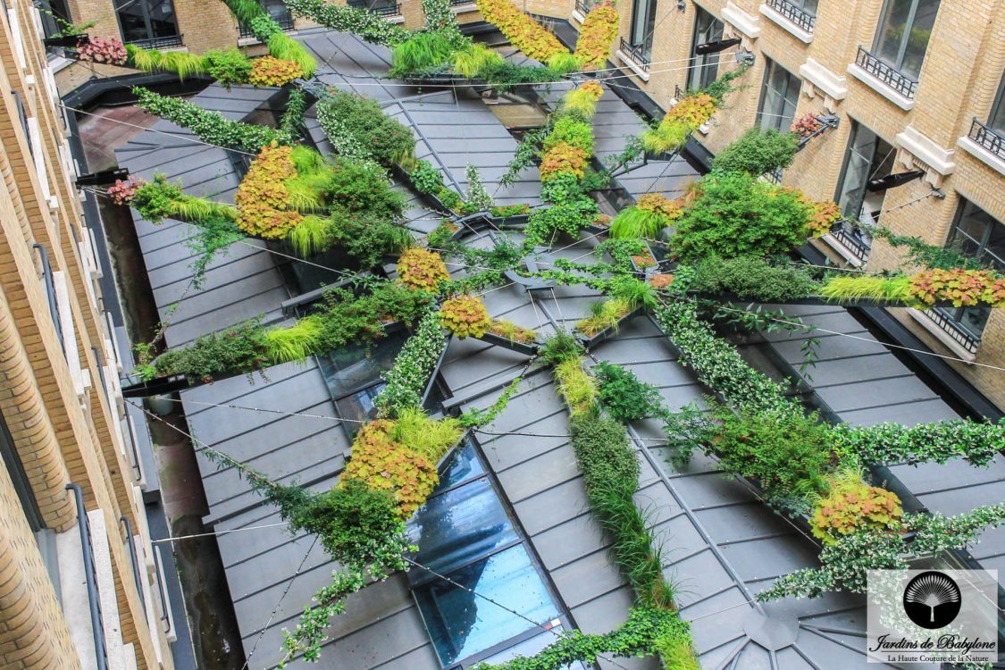 la toile d'araignée végétale des jardins de babylone