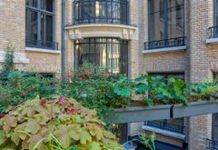 les jardins suspendus de paris