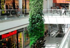 colonne végétalisée dans un centre commercial