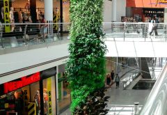 colonne végétalisée dans un centre commercial