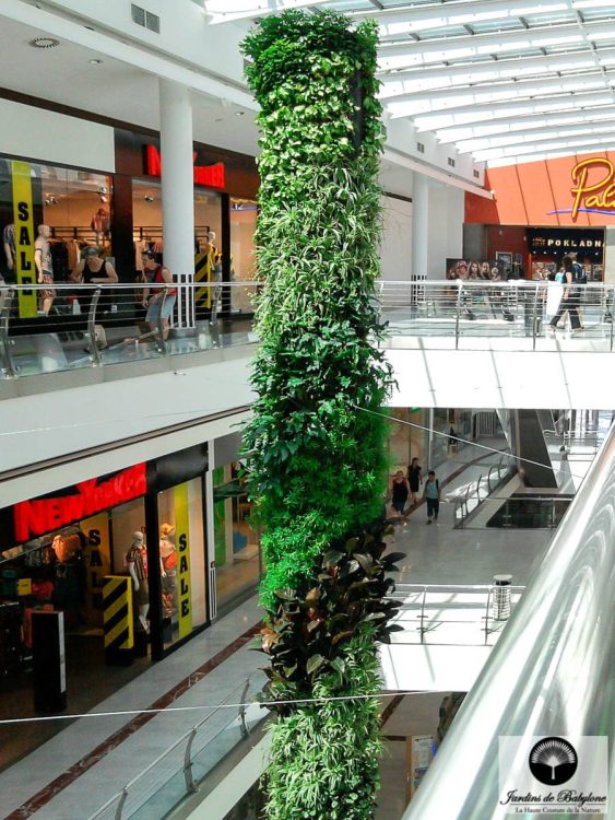 colonne végétalisée dans un centre commercial