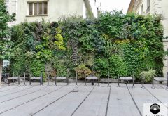 jardin vertical de EDF