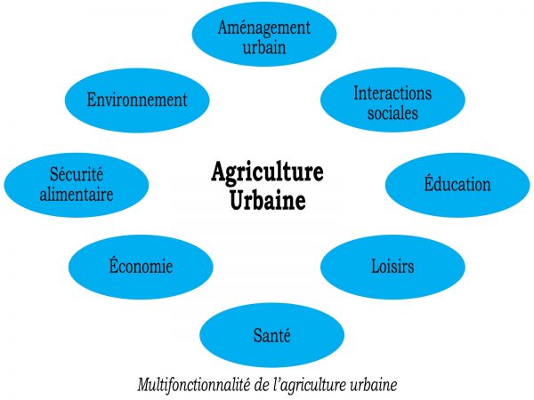 Multifonctionnalité de l’agriculture urbaine