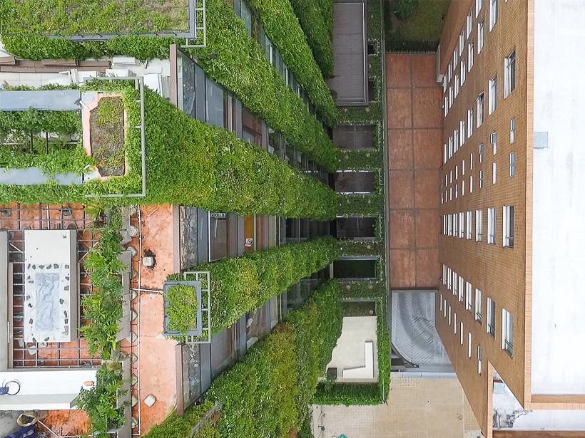 vue du dessus d'un jardin vertical en ville