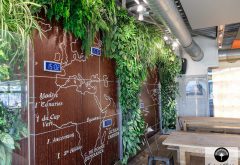 mur végétal dans un restaurant